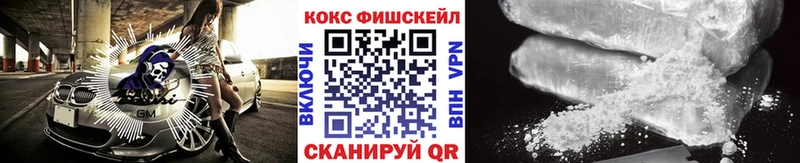 Cocaine FishScale  купить наркоту  Ялуторовск 