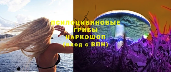 мяу мяу мука Магадан